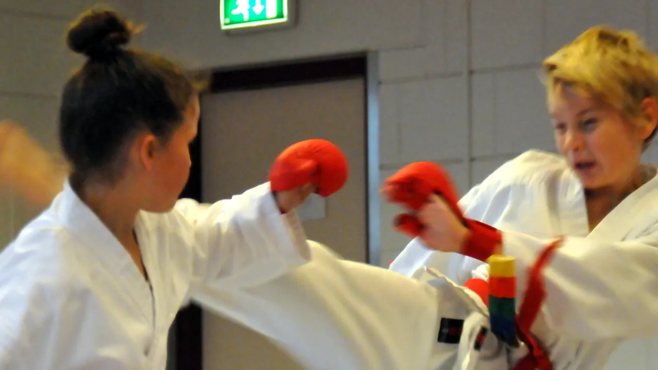 karate1