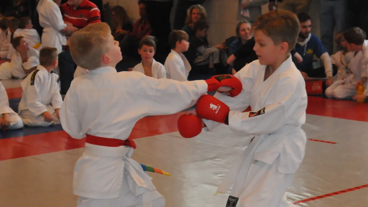 karate2