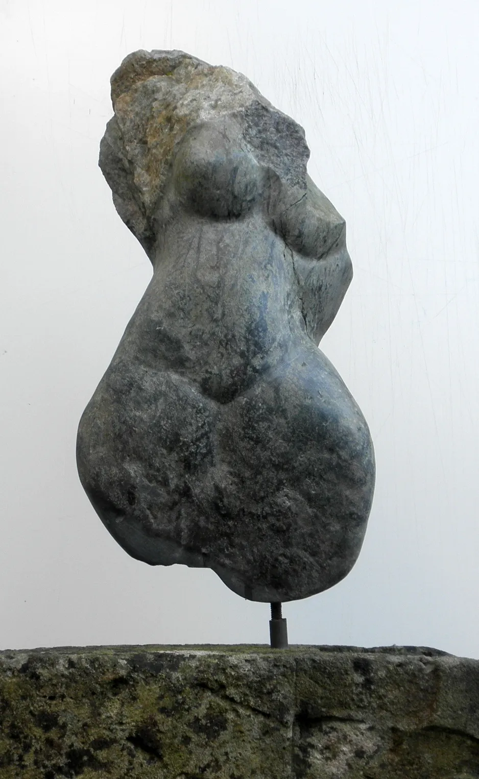 torso