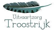 troostwijk