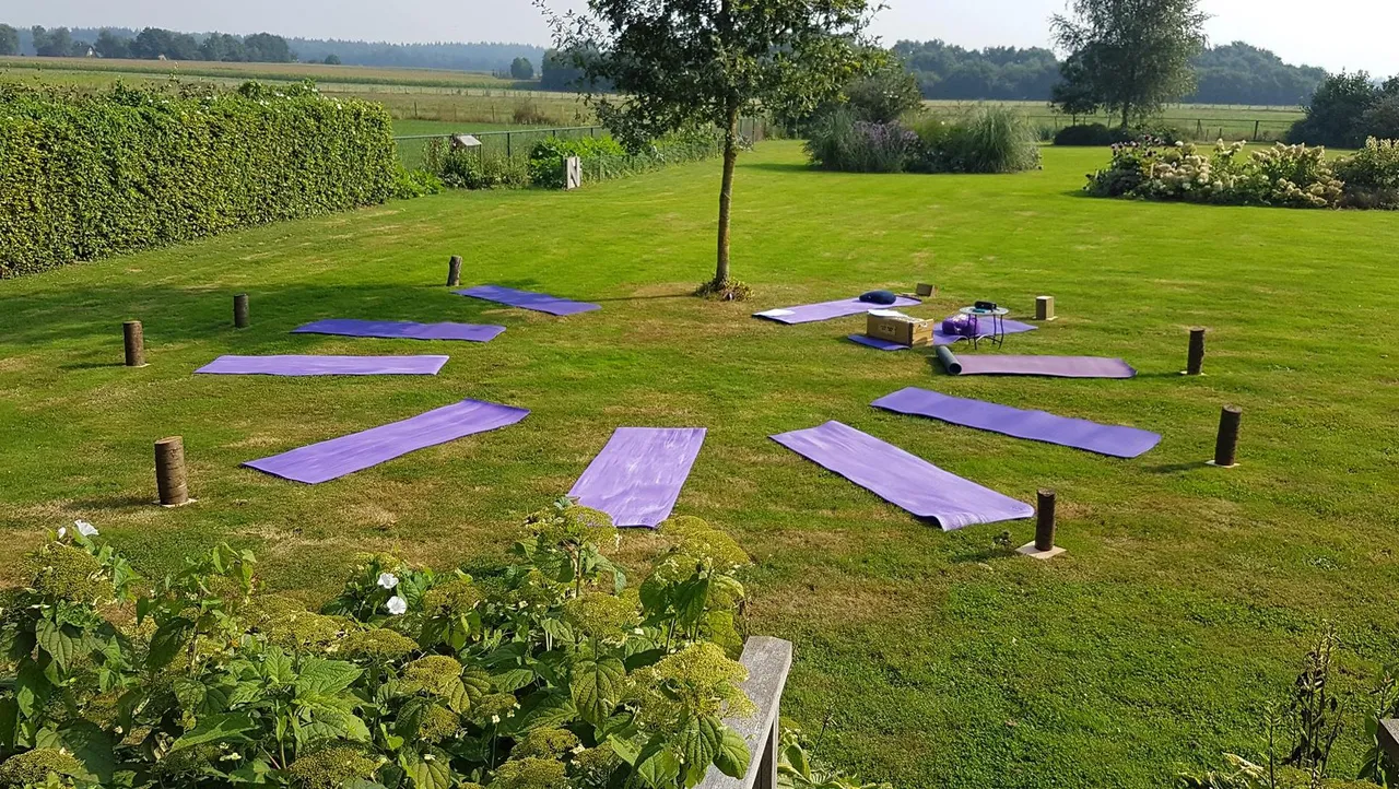 tuin1