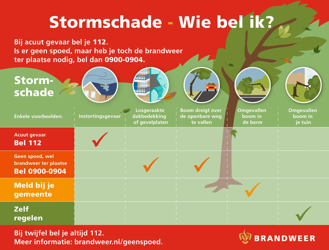 stormschade