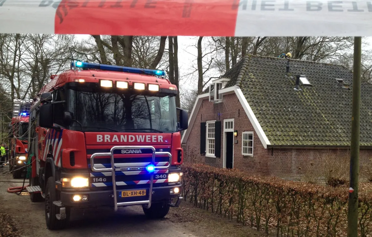 11en brand3