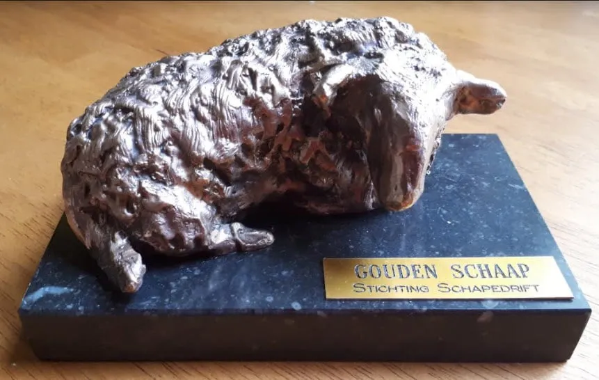16en goudenschaap1