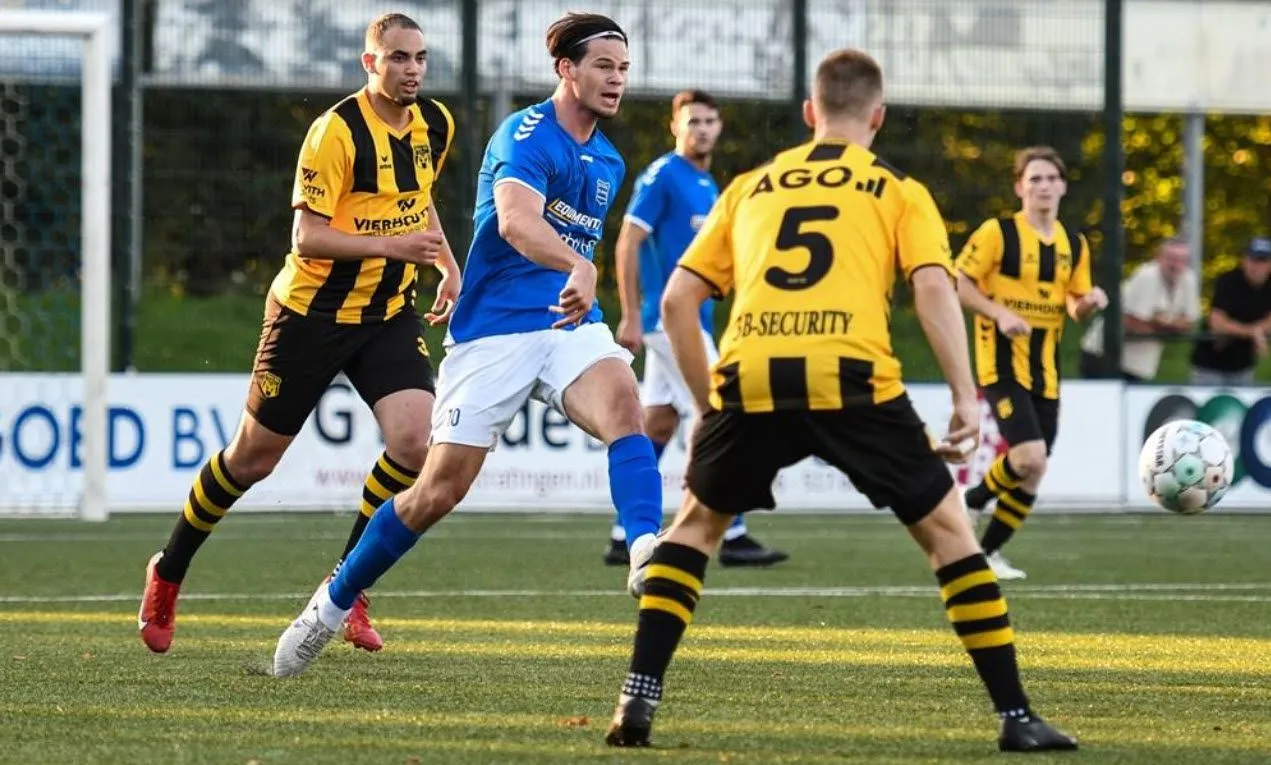 31en dvshhc2