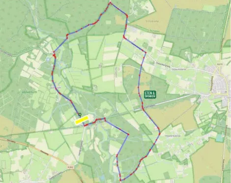 31en omloop