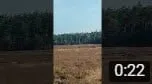 wolf gespot1