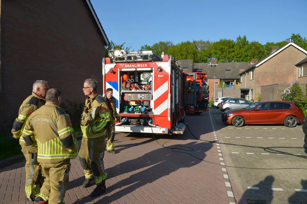 perry roovers 20220427174351 1