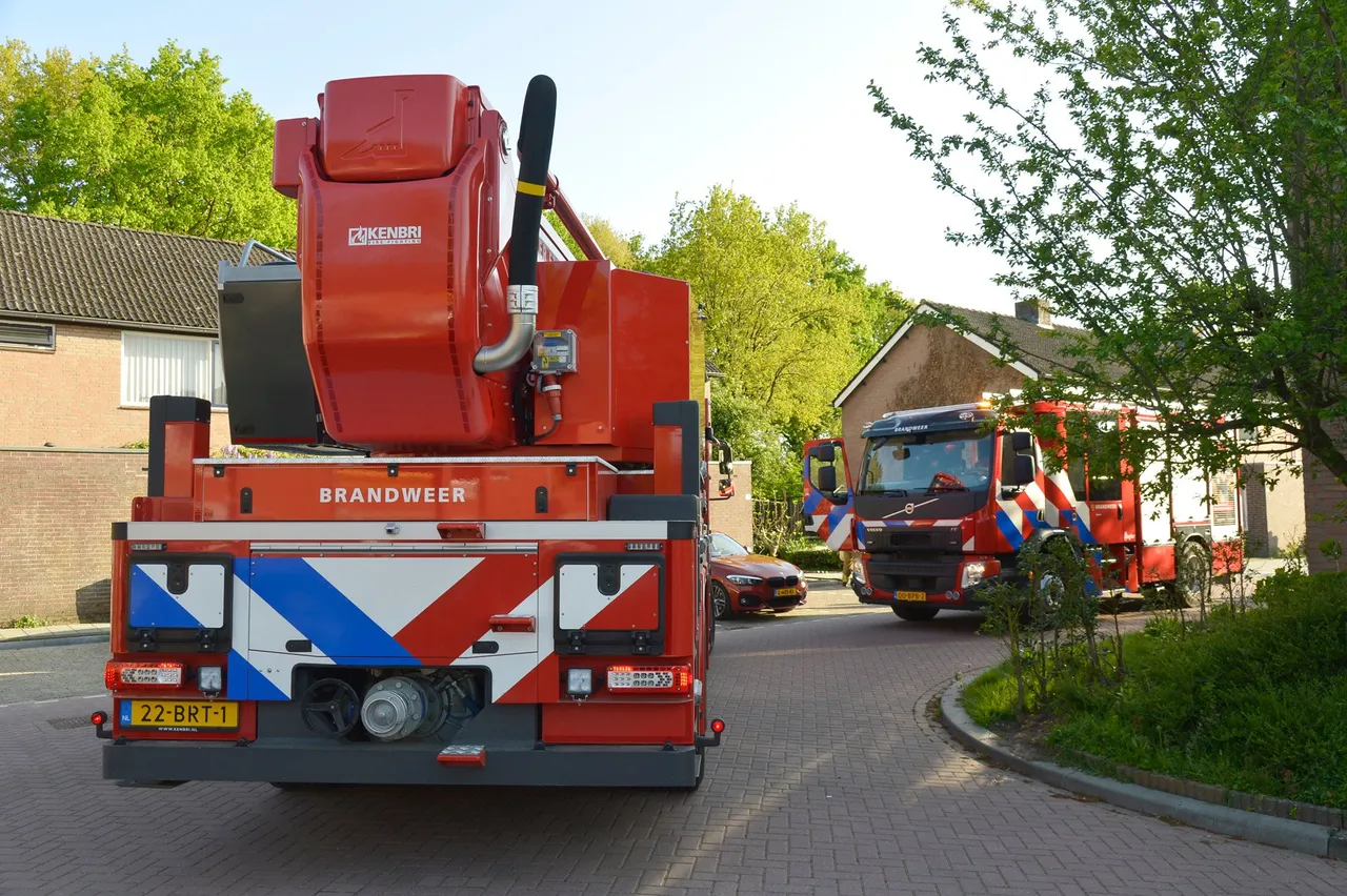 perry roovers 20220427174351 4