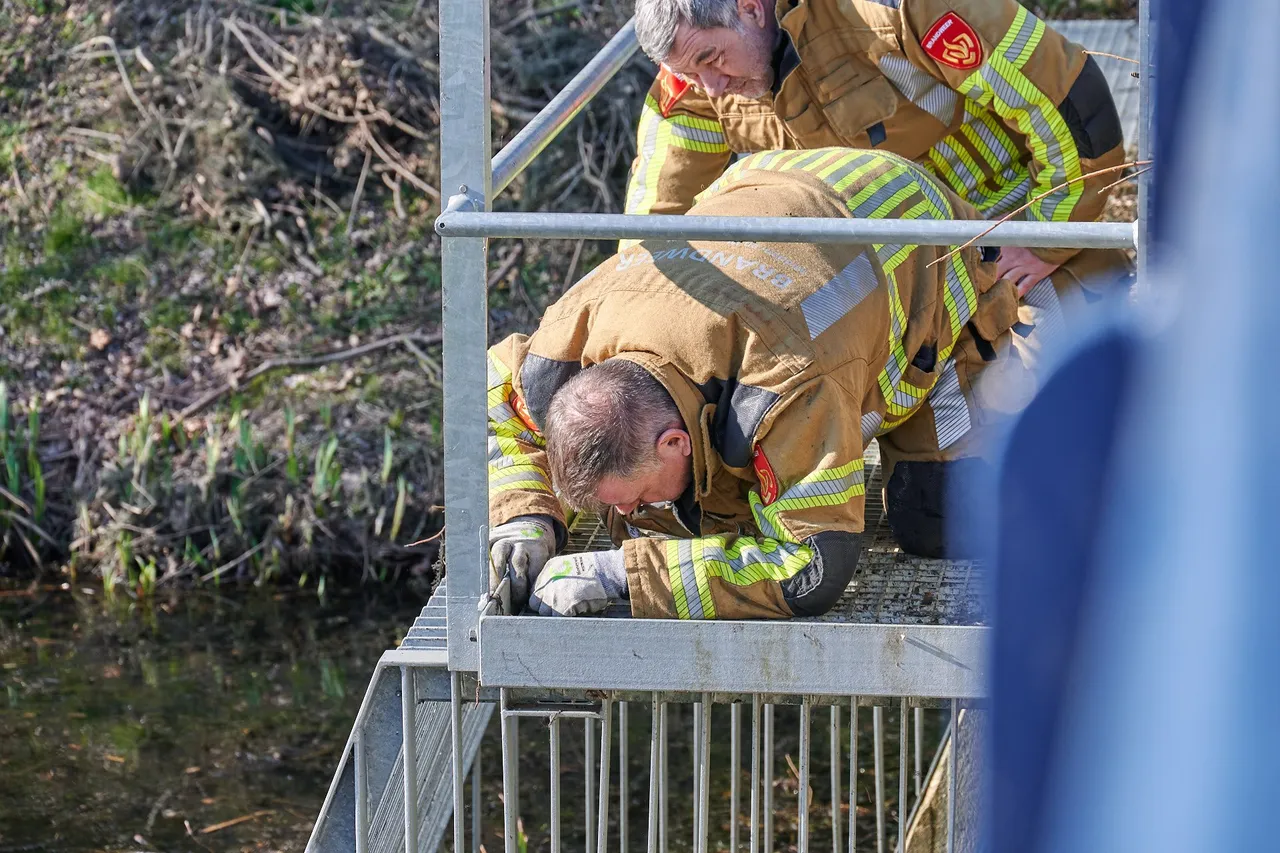 tom van der put 20220305144928 5