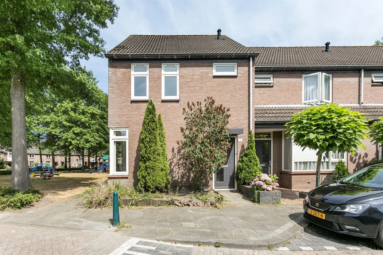 zilvermeeuw