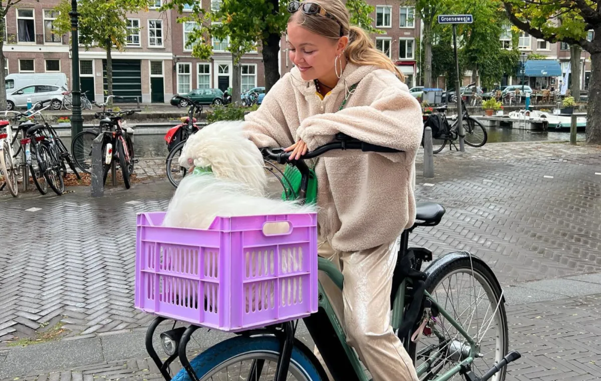 beste elektrische fiets 2023 1200x761