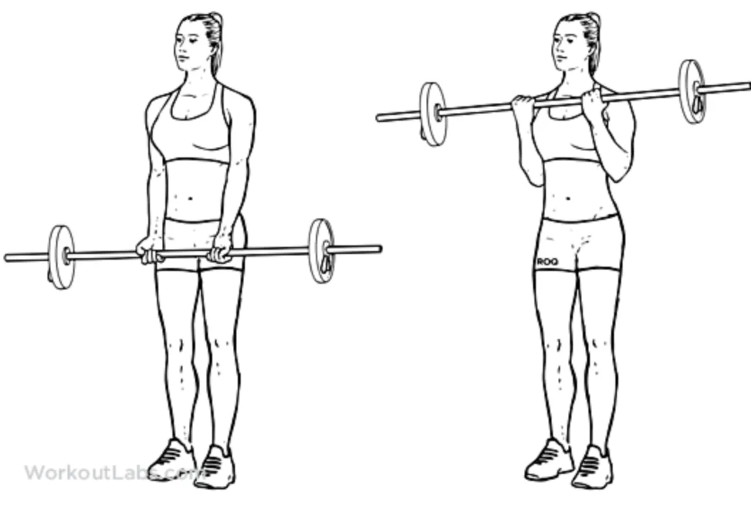 bicep femfem