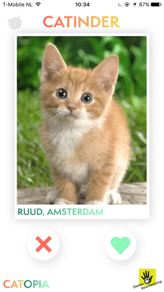 catinder tinder katten femfem