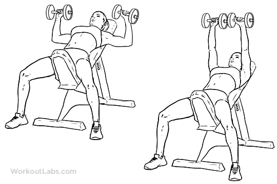dumbbell femfem