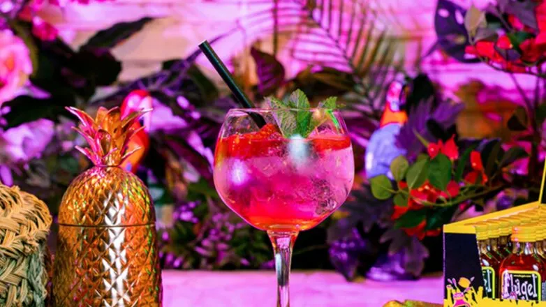 flc3bcgel gin tonic