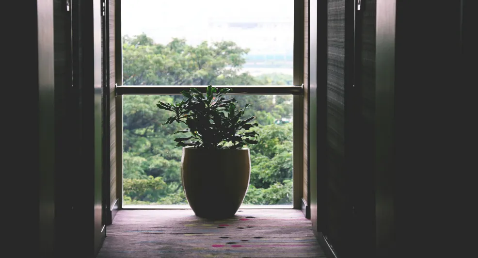 planten huis inrichten trucje nepplant