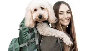 Foto: Pets Online