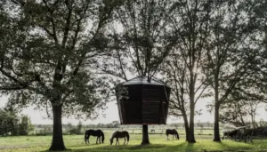 schermafbeelding 2022 05 05 om 093809 300x171