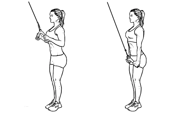tricep femfem