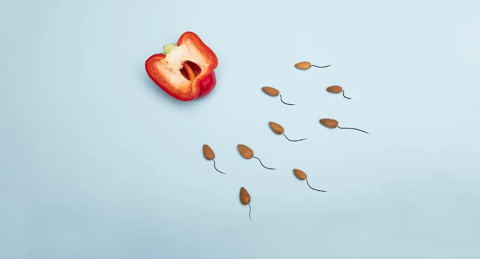 vruchtbaarheidstest vrouw man trouwen
