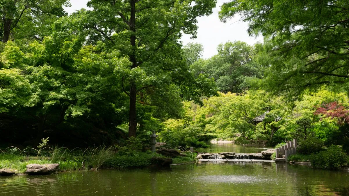 jessica tan l5vjkte80ve unsplash 1200x675