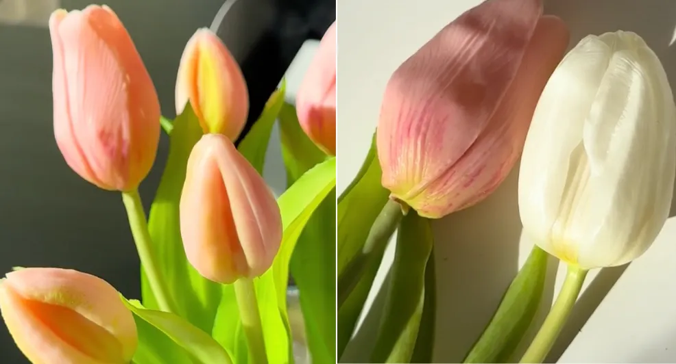 verse bloemen 2