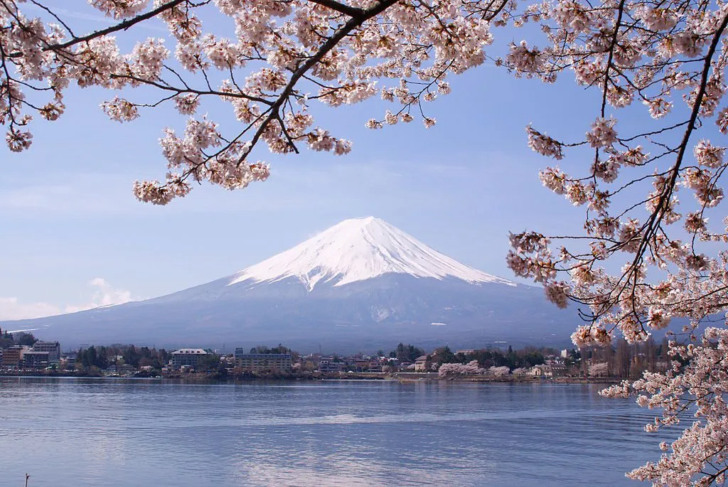 1024px lake kawaguchiko sakura mount fuji 3 1024x685