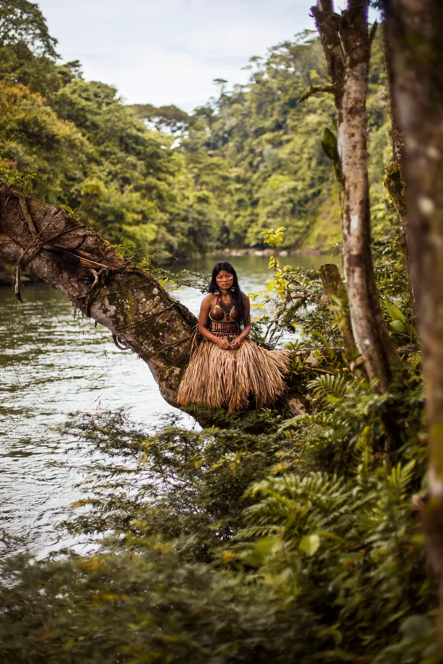 6 amazon rainforest