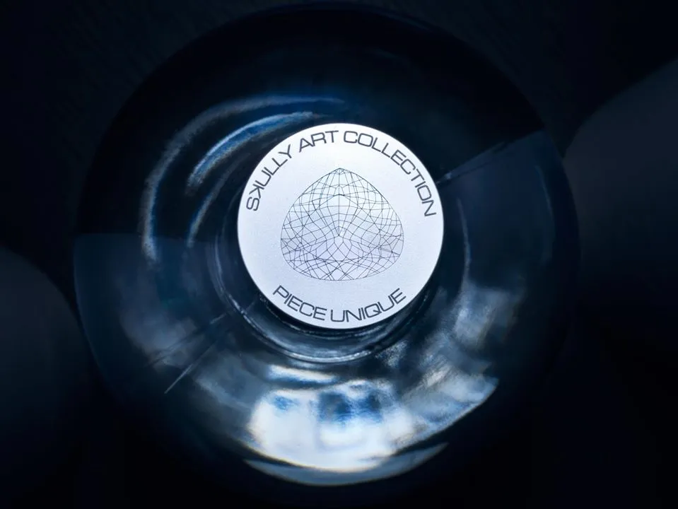 74407607 2529209433782106 3104013855987073024 o
