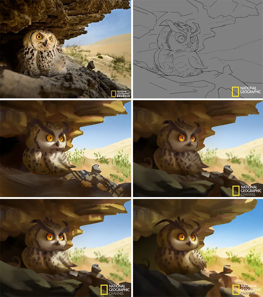 artist transforms national geographic photographs into adorable illustrations 5b3de2daa2413 880