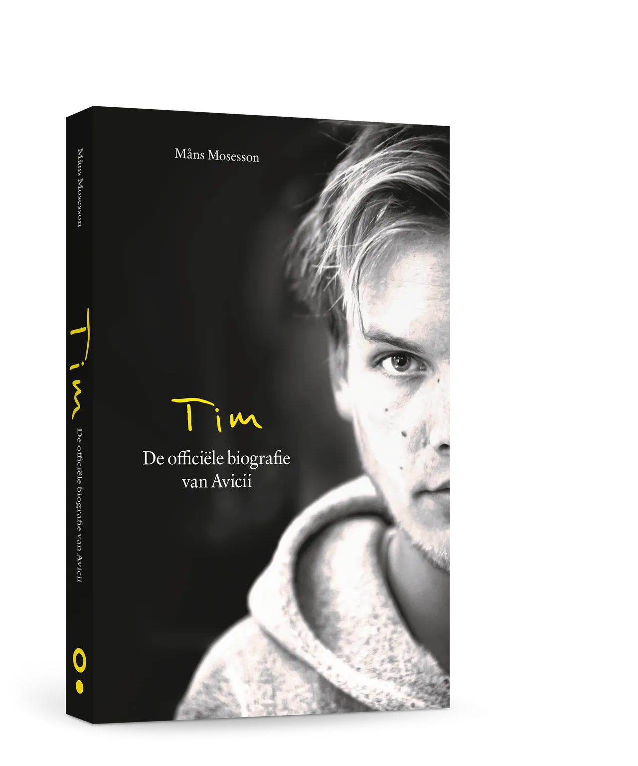 avicii 3d