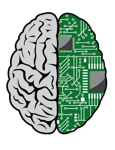 brain 0