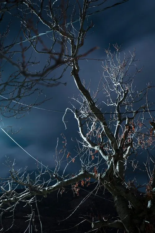 c2a9 ioanna sakellaraki greece student photographer of the year 2020 sony world photography awards e1591696567349