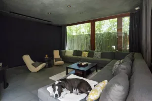 californication 7 300x200