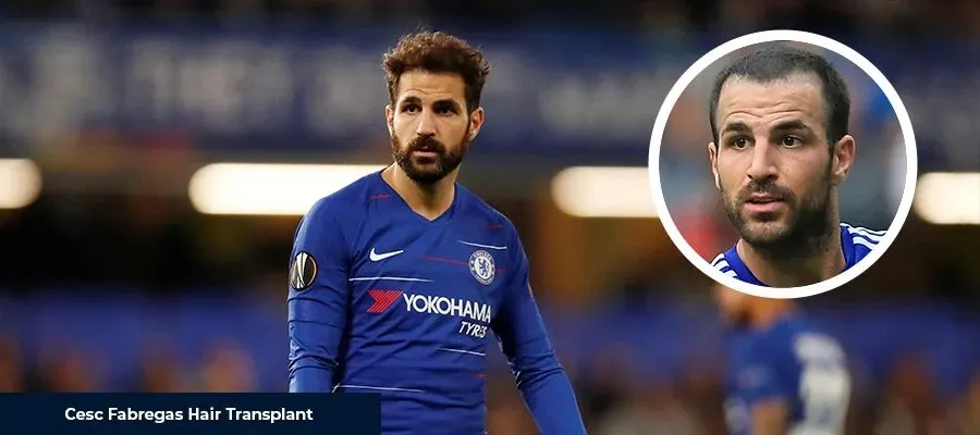 cesc fabregas one cikan kopie