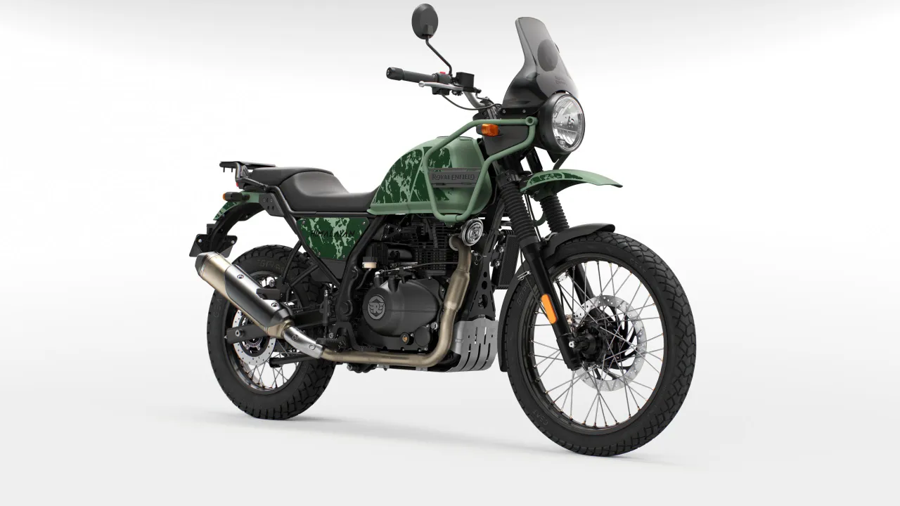 d3g pine green 003 scaled