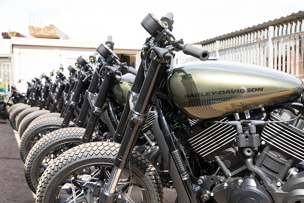 dirt quake 6