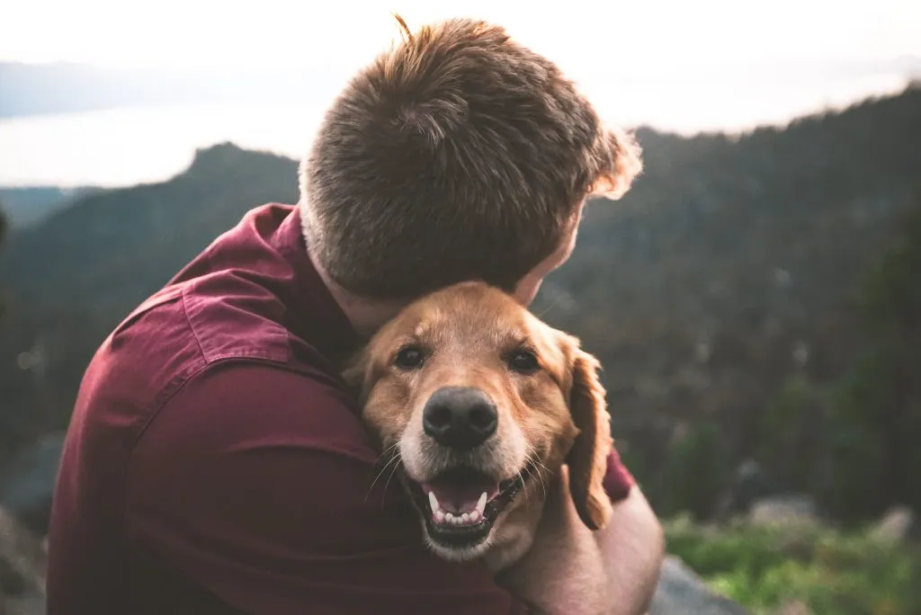 eric ward isg37ai2a s unsplash 1024x684