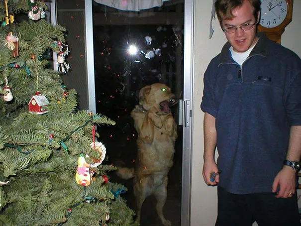 funny dog photobombs 67 58ef256c87508 605