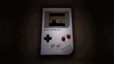 giphy 2