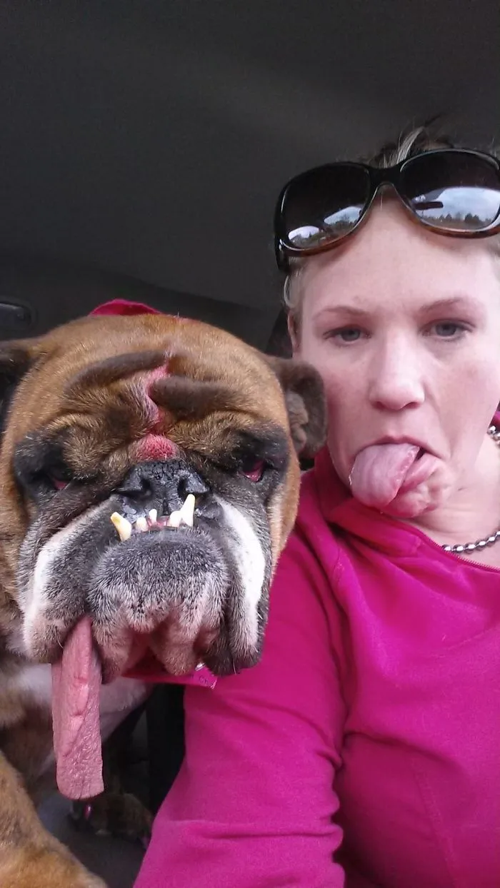 it was the winner of the ugly dog of 2018 and he is totally adorable 5b3042009bb7d 700