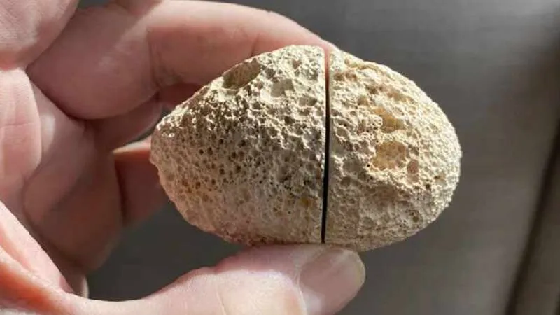 koekie2