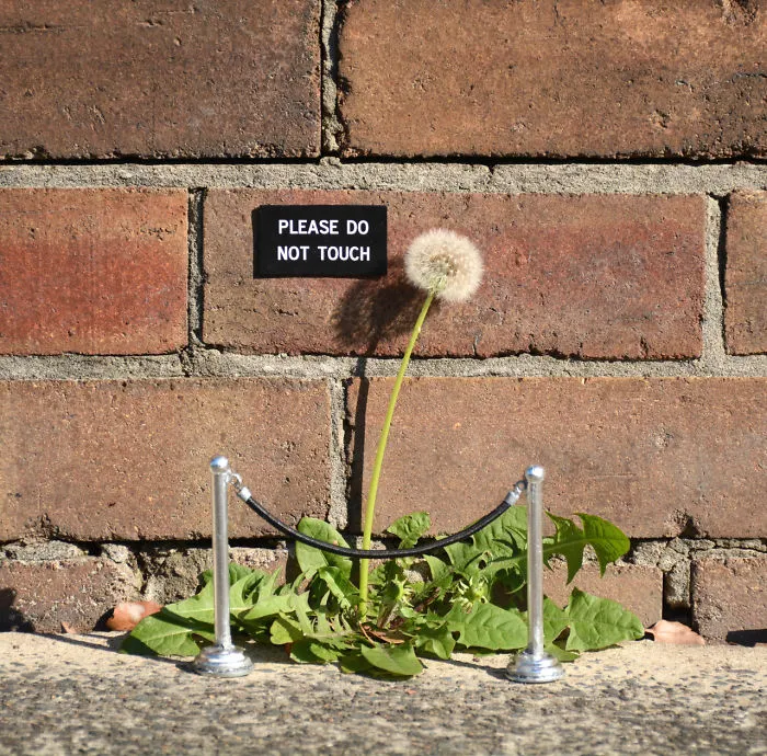 nature street art 74 58ee184d4d91c 700