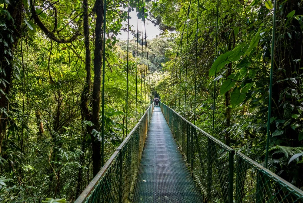 selvatura park