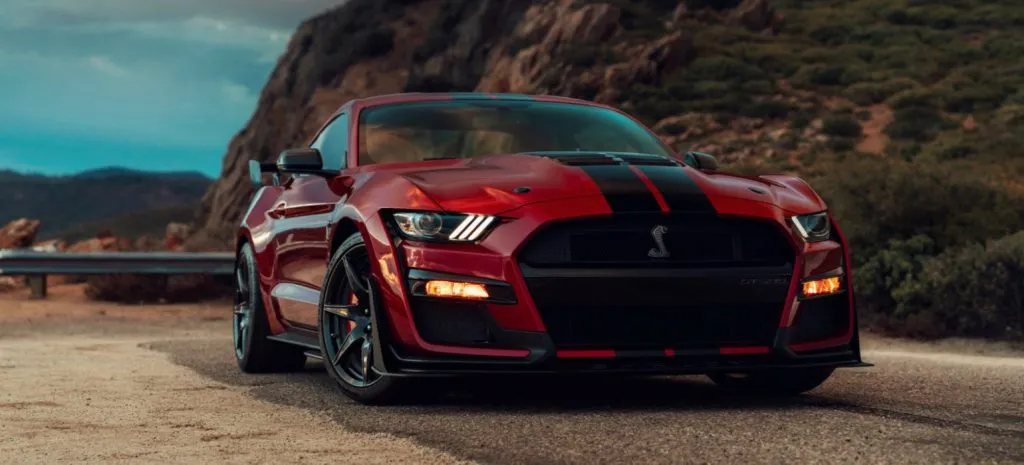 shelby 1 1024x465