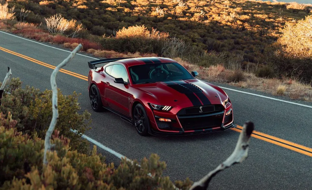 shelby2 1024x626