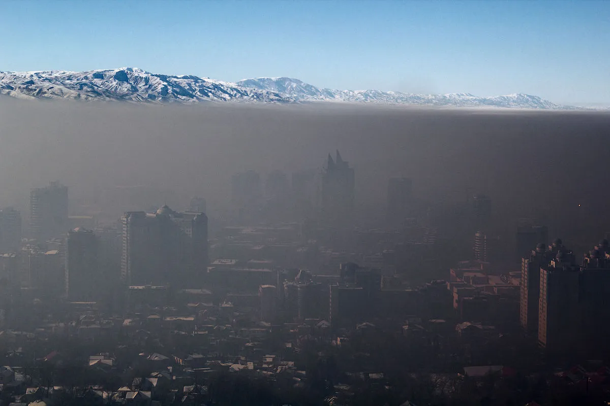 smog
