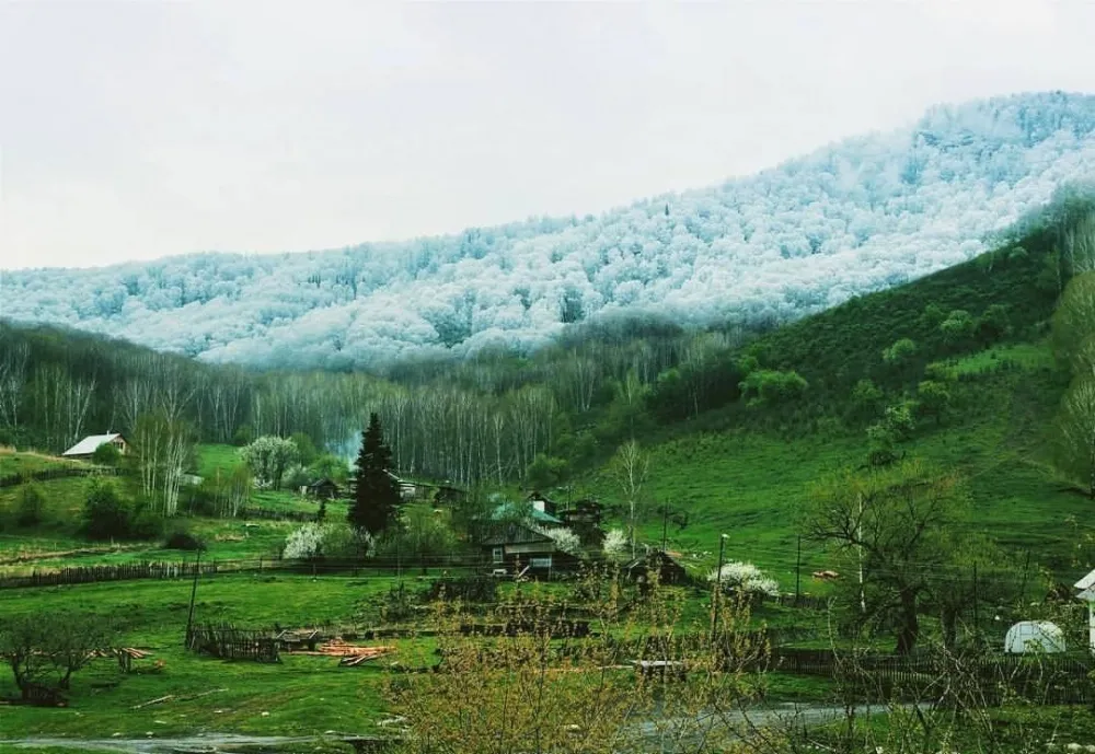 sneeuw