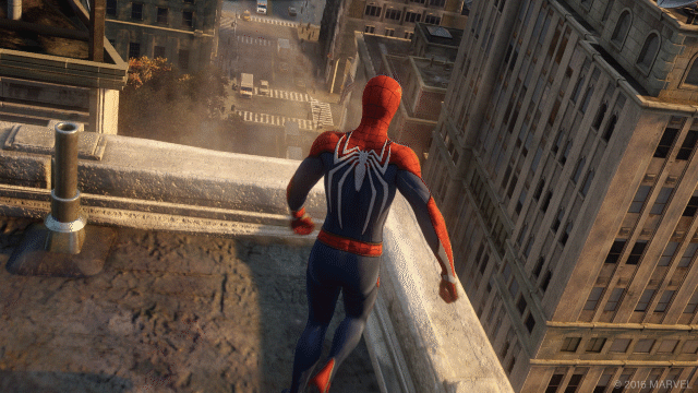 spider